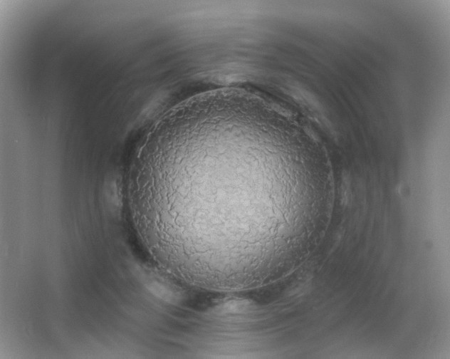 X0000066970210200603241219