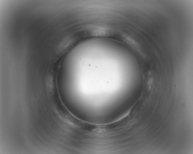 X0000066970211200603241219