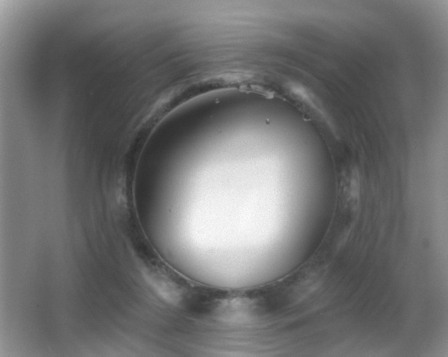 X0000066970212200603241219