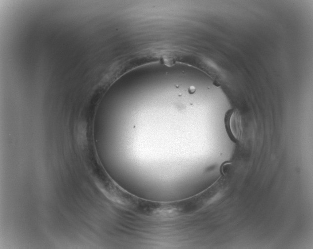 X0000066970213200603241219