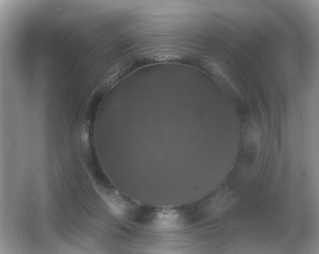 X0000066970214200603241219