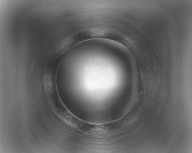 X0000066970215200603241219