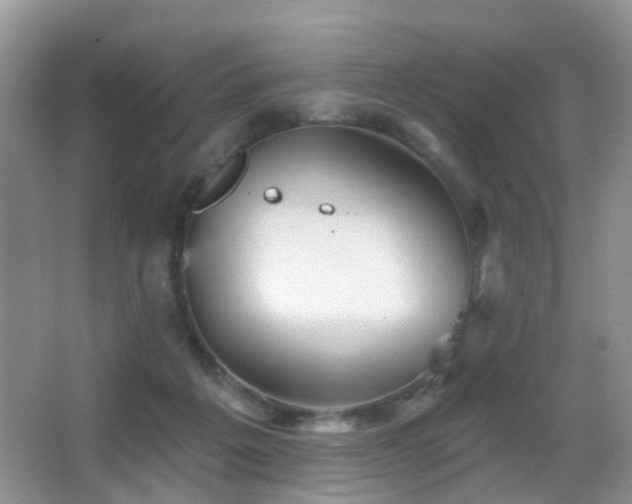 X0000066970217200603241219