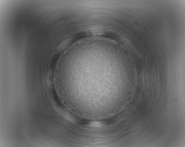 X0000066970218200603241219