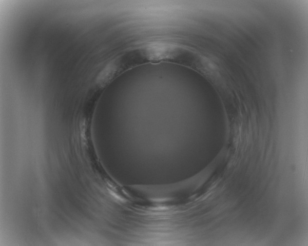 X0000066970219200603241219