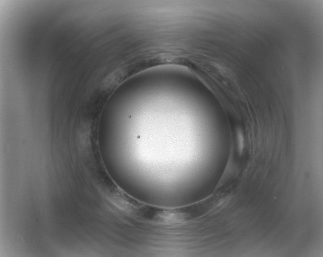 X0000066970221200603241219