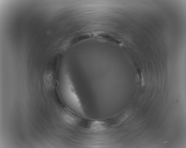 X0000066970222200603241219