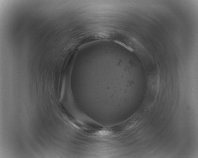 X0000066970223200603241219