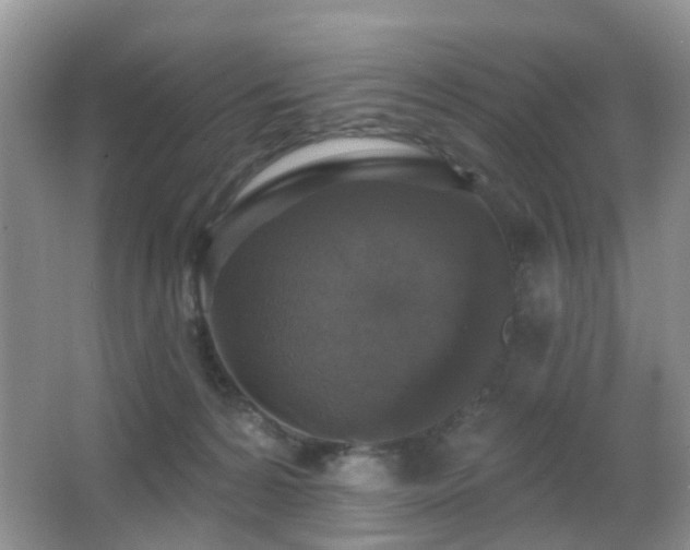 X0000066970224200603241219