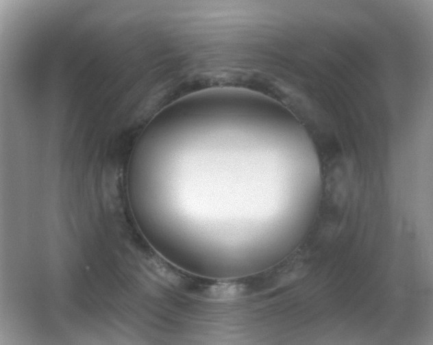 X0000066970225200603241219