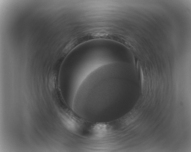 X0000066970227200603241219