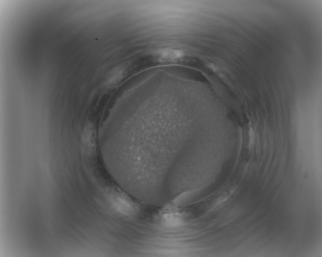 X0000066970228200603241219