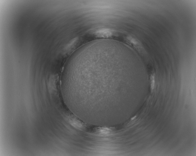 X0000066970229200603241219