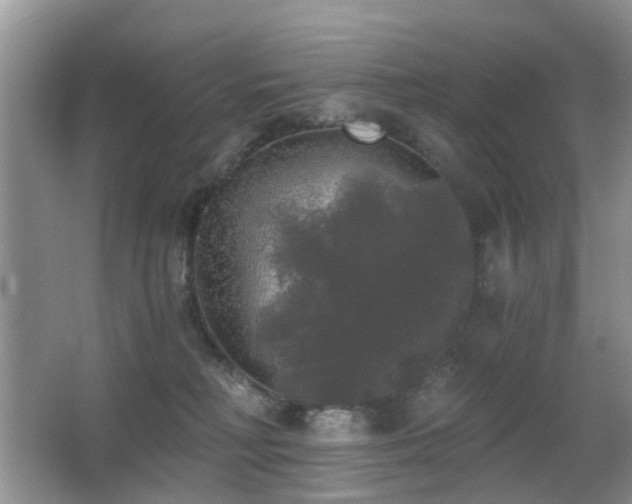 X0000066970230200603241219