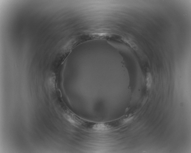 X0000066970231200603241219