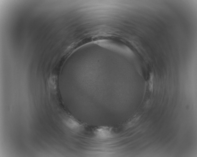 X0000066970232200603241219