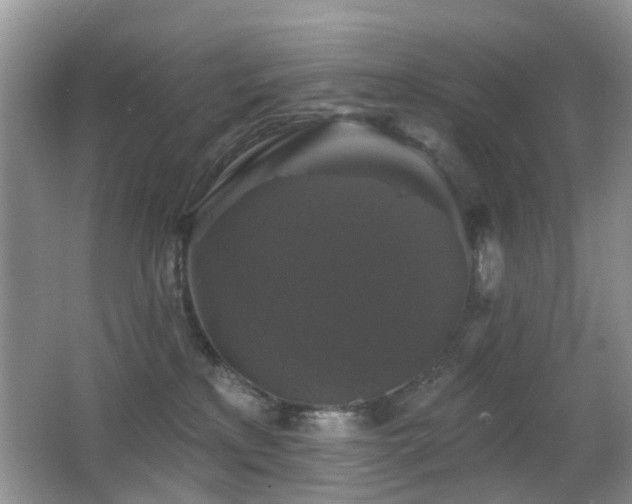 X0000066970233200603241219