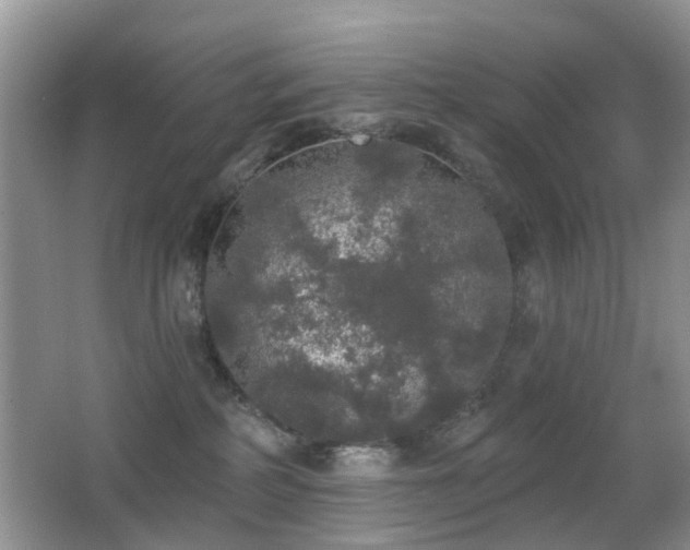 X0000066970234200603241219