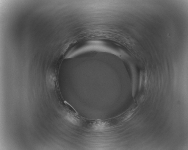 X0000066970235200603241219