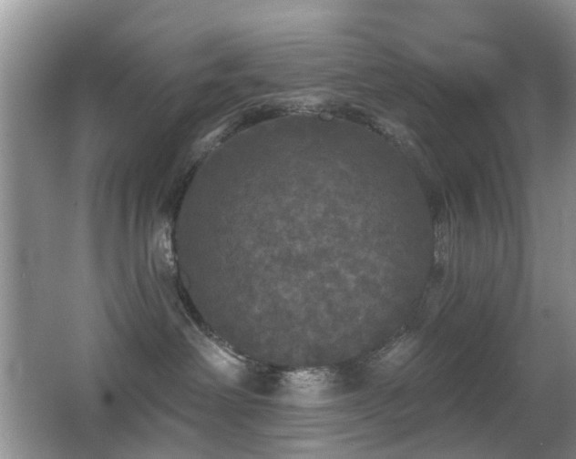 X0000066970238200603241219