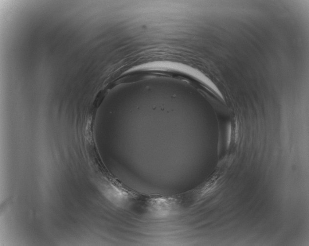 X0000066970239200603241219