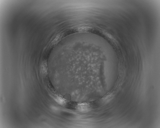 X0000066970240200603241219