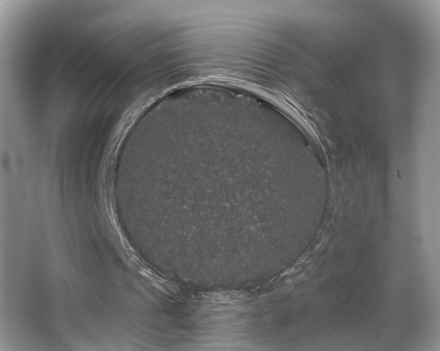 X0000066970241200603241218