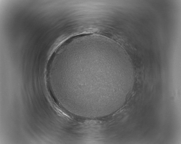 X0000066970242200603241218