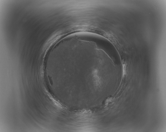 X0000066970243200603241218