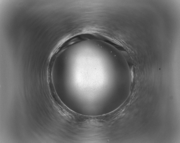 X0000066970244200603241218