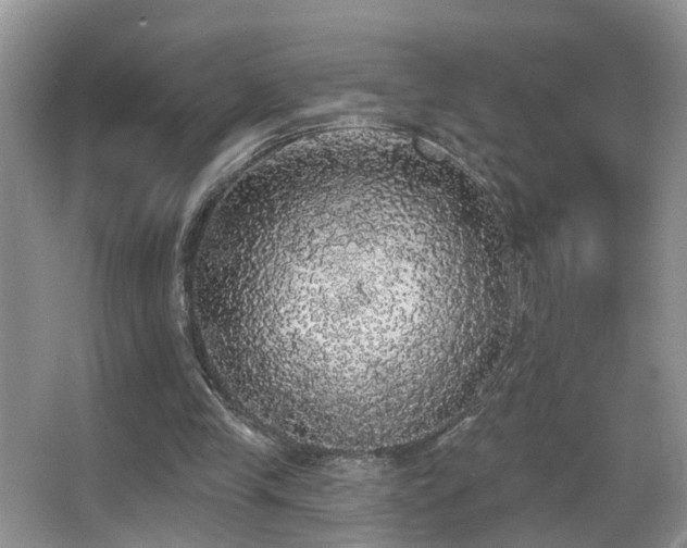 X0000066970245200603241218