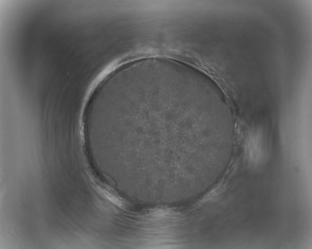 X0000066970246200603241218