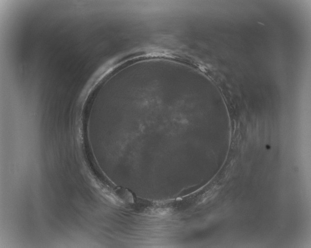 X0000066970247200603241218