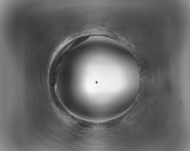 X0000066970248200603241218