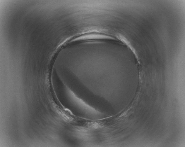 X0000066970249200603241218