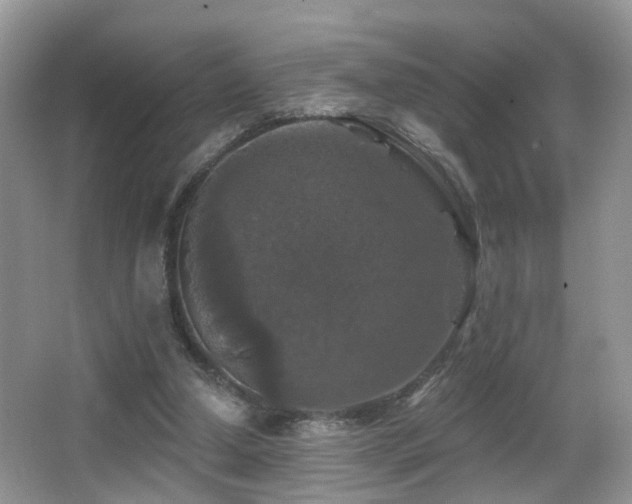 X0000066970250200603241218