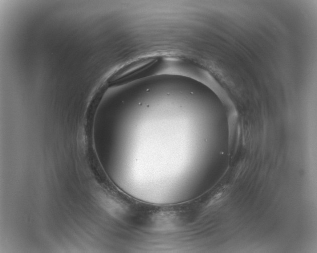 X0000066970252200603241218