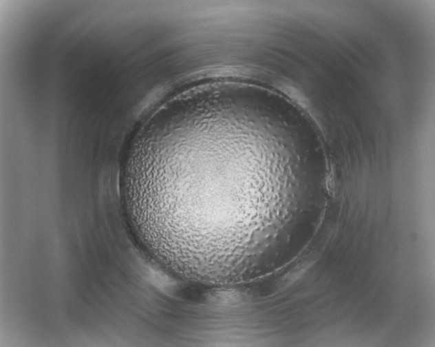 X0000066970253200603241218