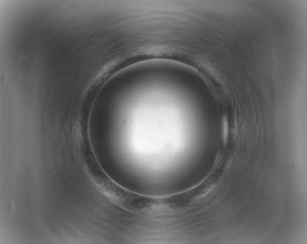 X0000066970256200603241218