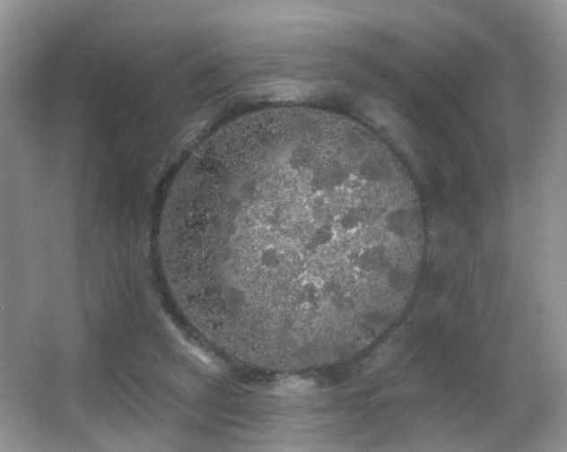 X0000066970257200603241218