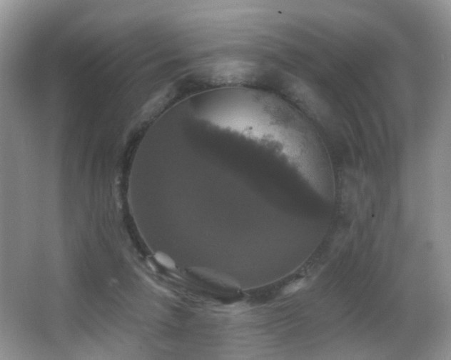 X0000066970258200603241218