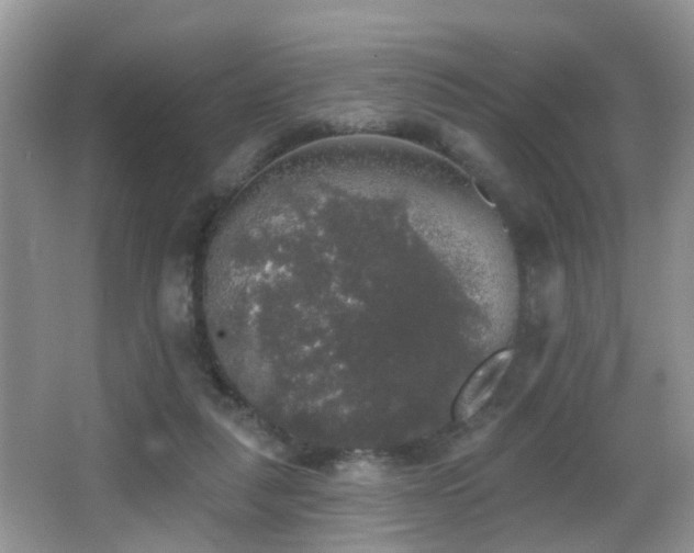 X0000066970259200603241218