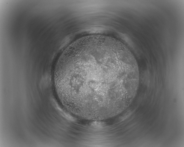 X0000066970261200603241218