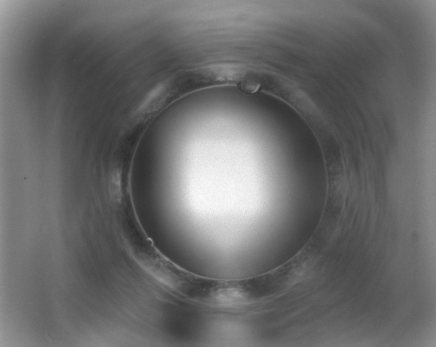 X0000066970262200603241218