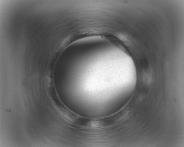 X0000066970264200603241218