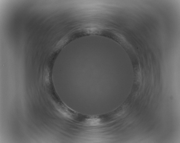 X0000066970266200603241218