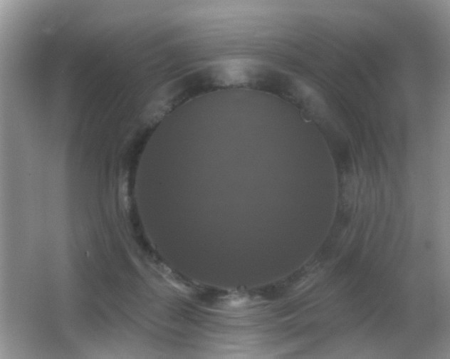 X0000066970267200603241218