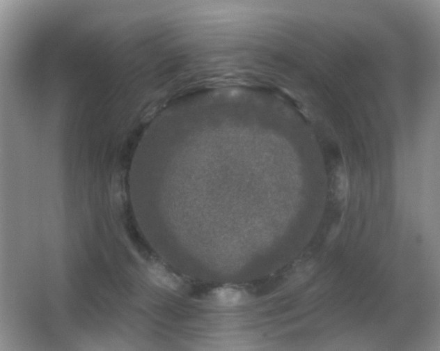 X0000066970272200603241218