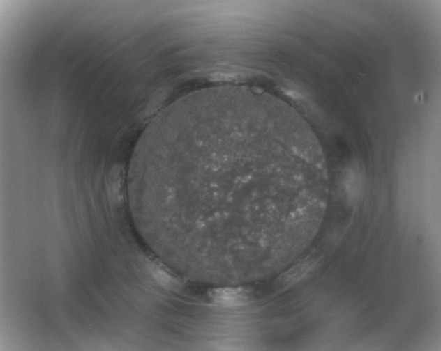 X0000066970273200603241218