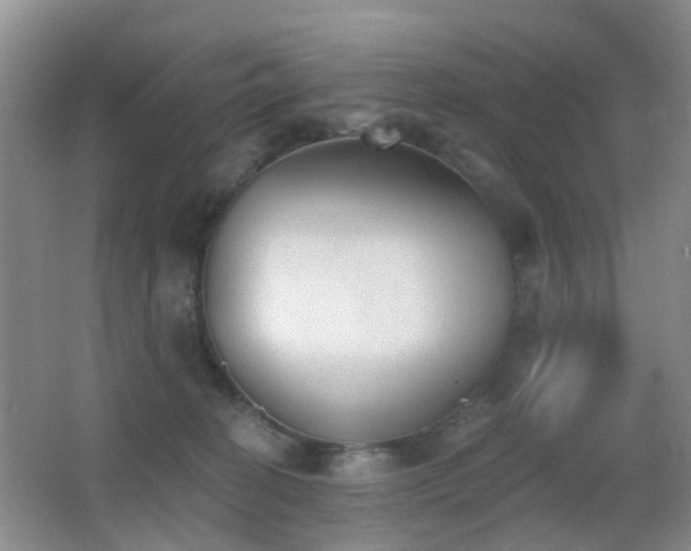 X0000066970274200603241218